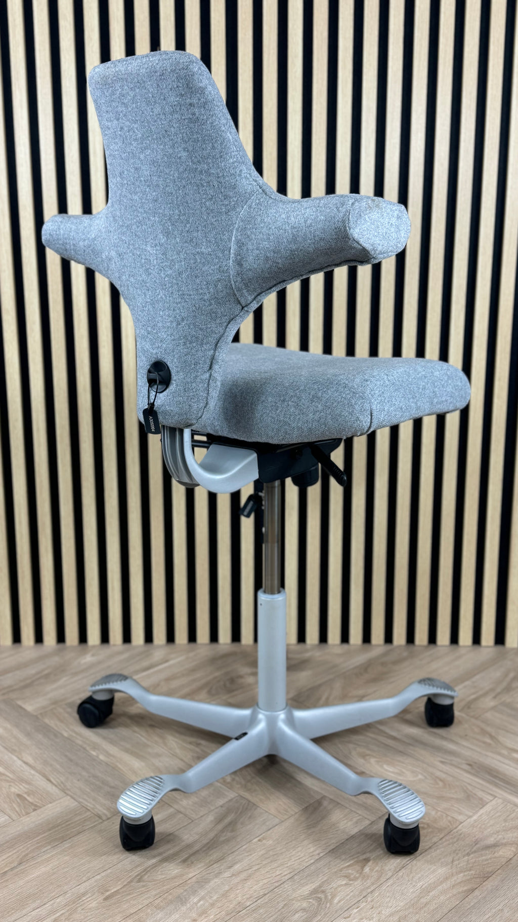 HAG Capisco Mistvale