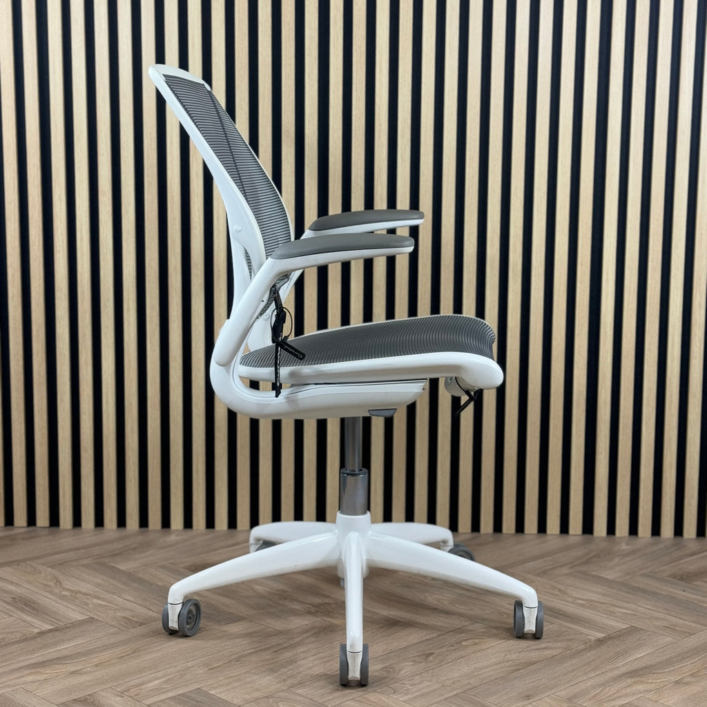 Humanscale Diffrient World