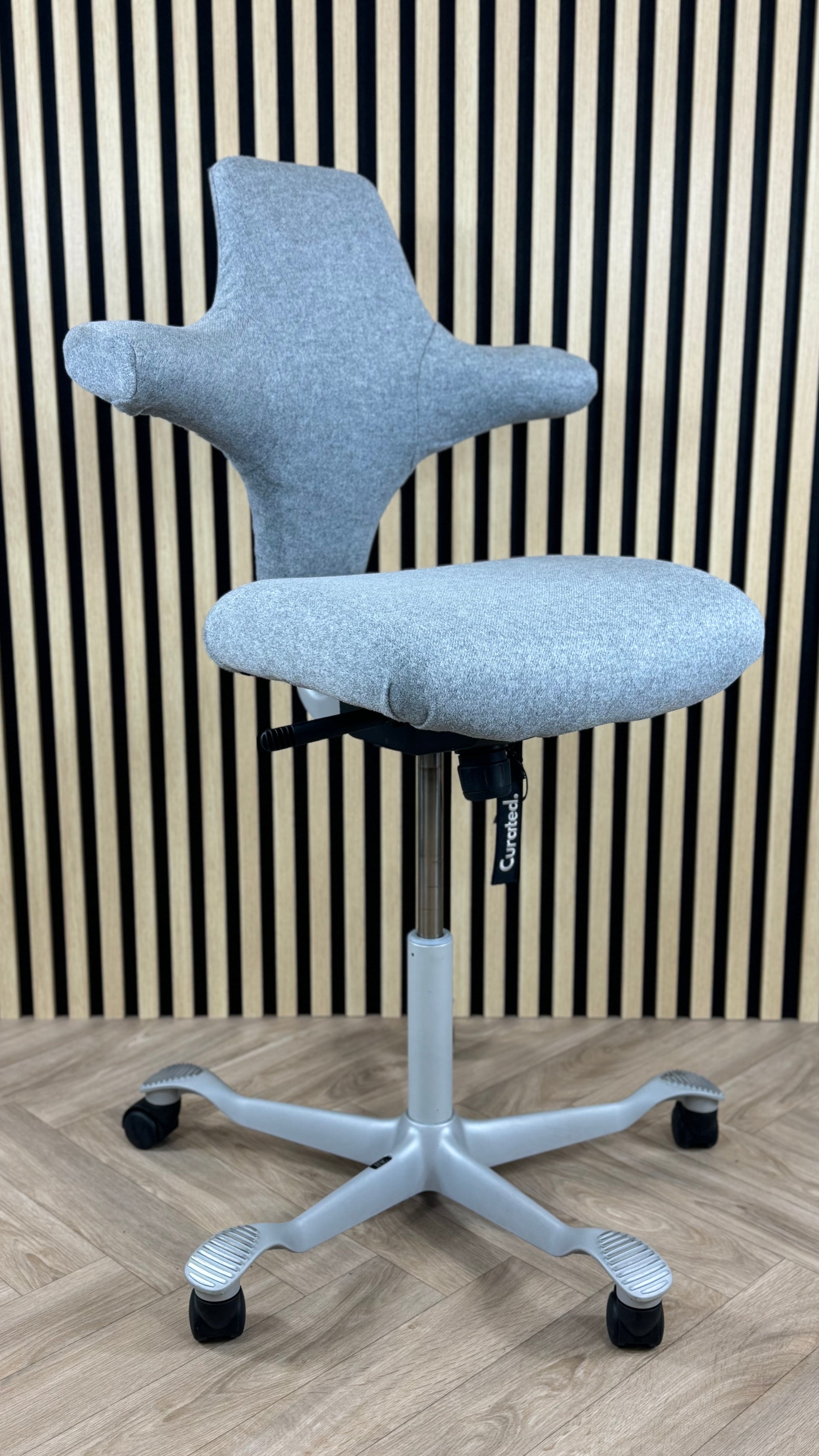 HAG Capisco Mistvale