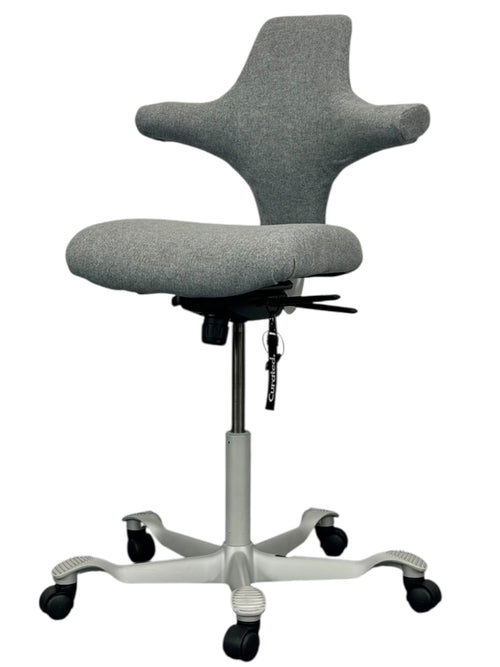 HAG Capisco Mistvale