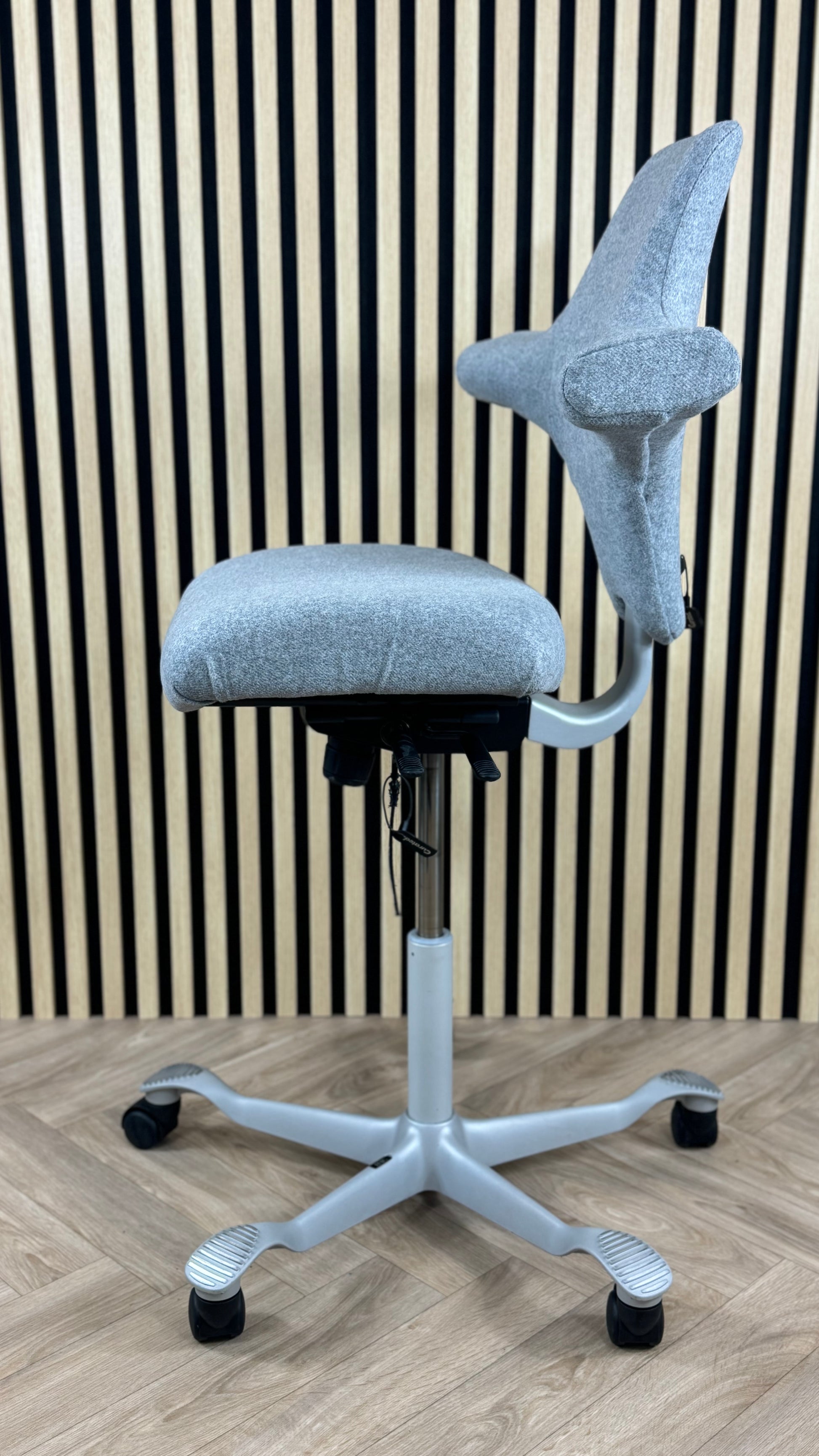 HAG Capisco Mistvale