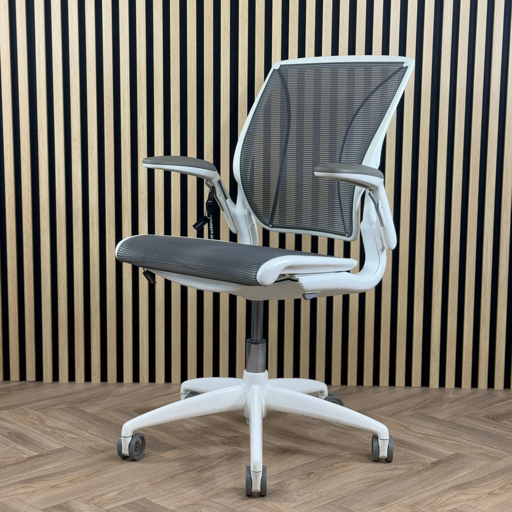 Humanscale Diffrient World