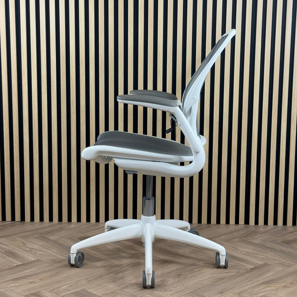 Humanscale Diffrient World