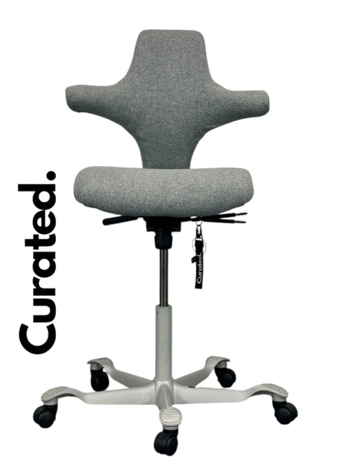 HAG Capisco Mistvale