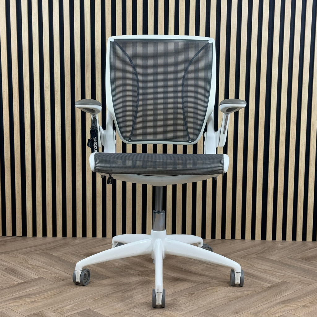 Humanscale Diffrient World