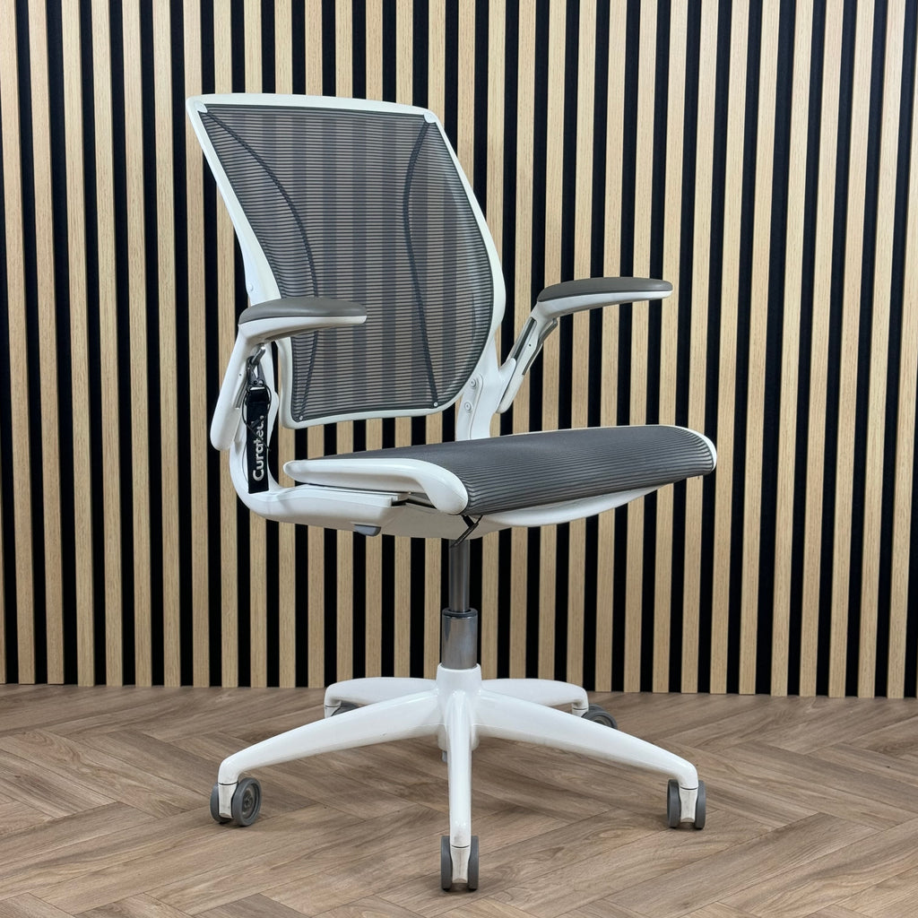 Humanscale Diffrient World