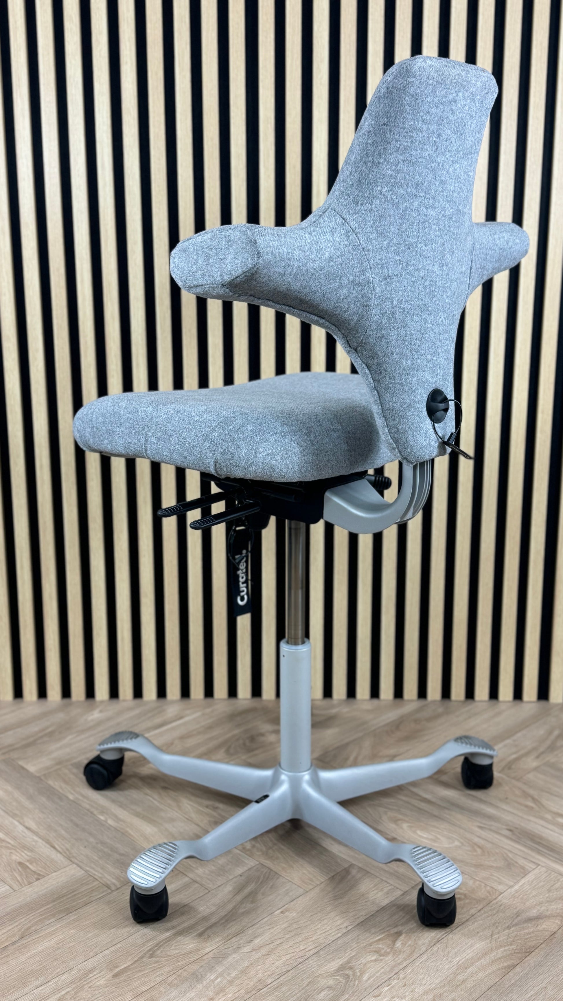 HAG Capisco Mistvale